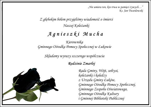 Gmina £uków - grafika