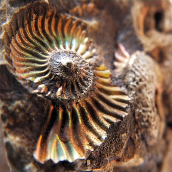 Gmina £uków - kliknij aby powiêkszyæ Gmina £uków