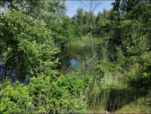 Gmina £uków - kliknij aby powiêkszyæ Gmina £uków