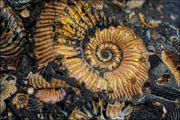 Gmina £uków - kliknij aby powiêkszyæ Gmina £uków