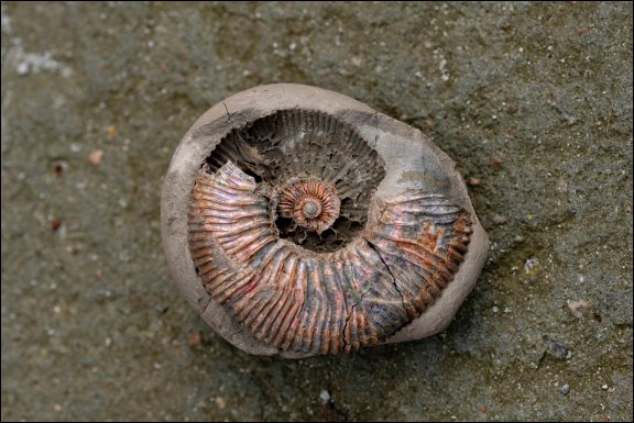 Gmina £uków - kliknij aby powiêkszyæ Gmina £uków