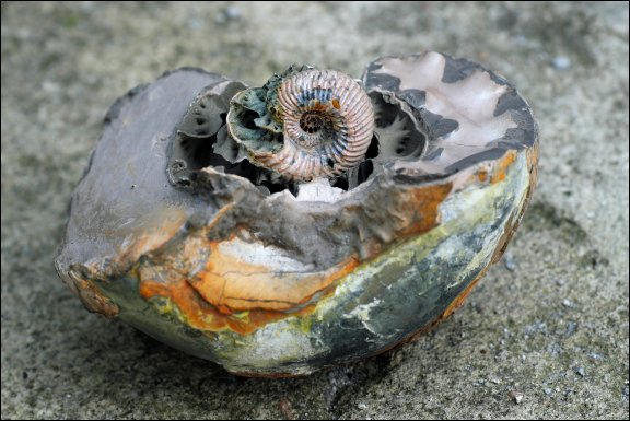 Gmina £uków - kliknij aby powiêkszyæ Gmina £uków